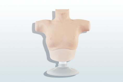 乳腺癌觸診、視診訓(xùn)練模型